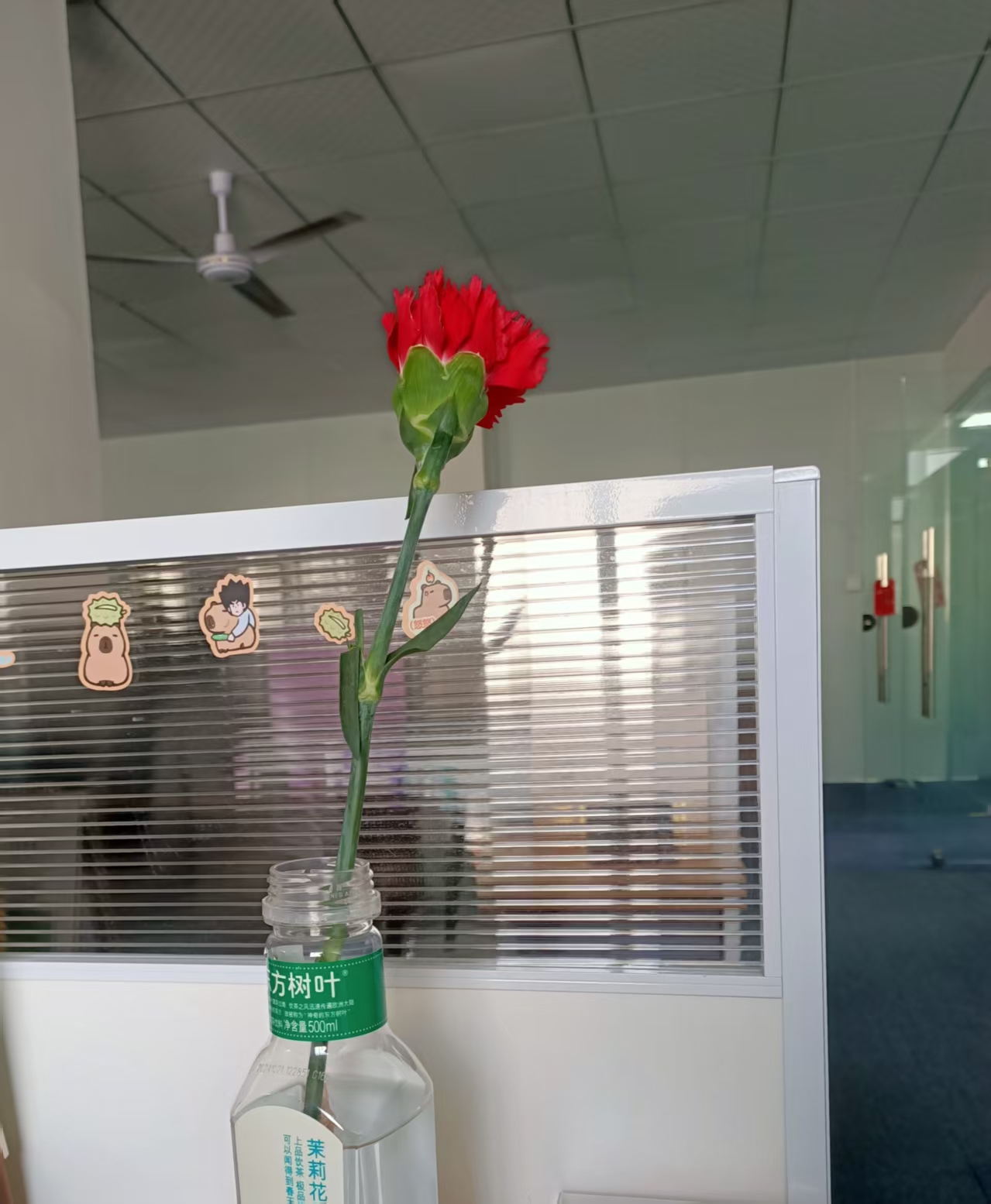 Celebrate International Women's Day with Flower Delivery